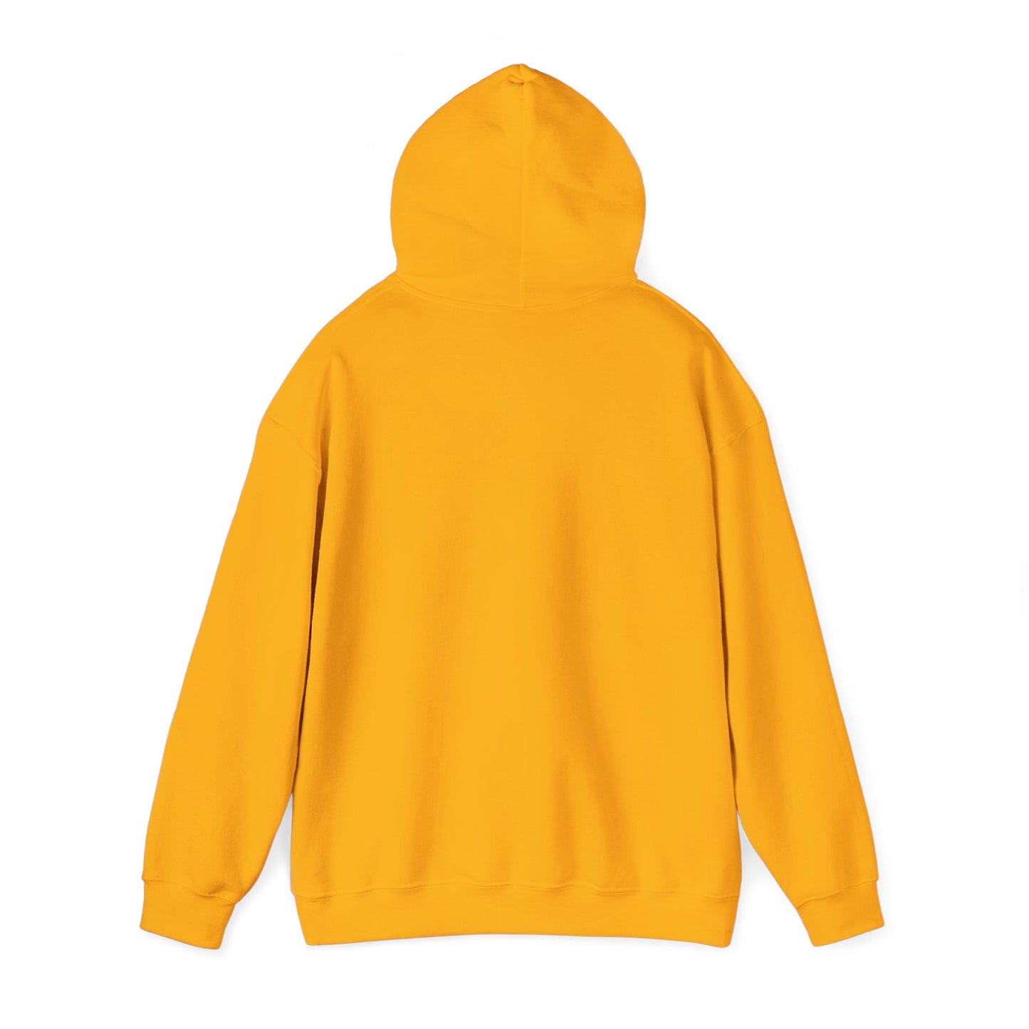 RRC Hooded Sweatshirt | Faith Over Fear
