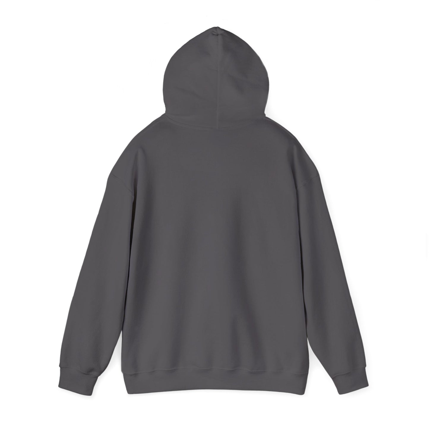 RRC Hooded Sweatshirt | Faith Over Fear