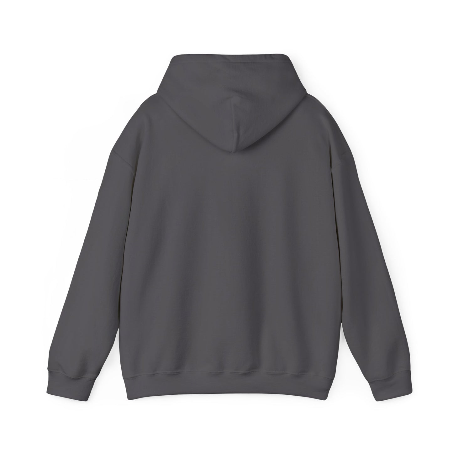 RRC Hooded Sweatshirt | Faith Over Fear